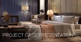 Project case presentation