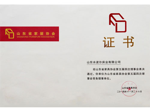 Shandong furniture association